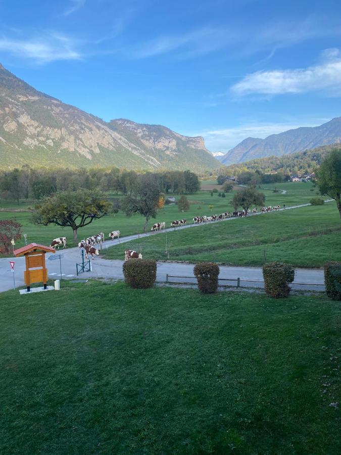 Le Nid Du Birdie, Giez, Proche Du Lac D'Annecy Διαμέρισμα Εξωτερικό φωτογραφία